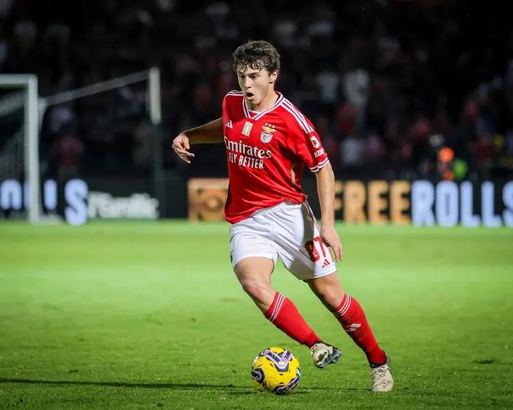 欧联倒计时，本菲卡冲刺阶段伤情更新，细节引发关注，话题不断，年轻球员得到机会的简单介绍